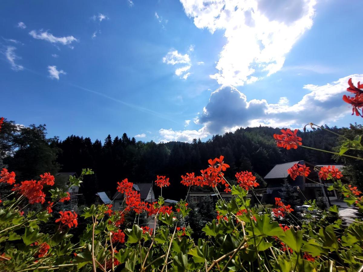 Rezydencja Lesny Dwor Piwniczna-Zdroj Luaran gambar