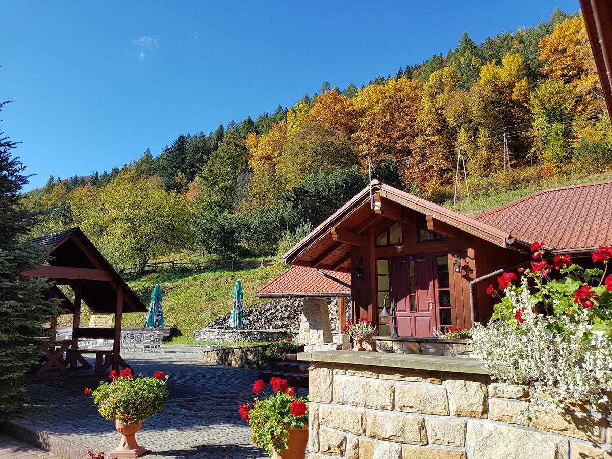 Rezydencja Lesny Dwor Piwniczna-Zdroj Luaran gambar