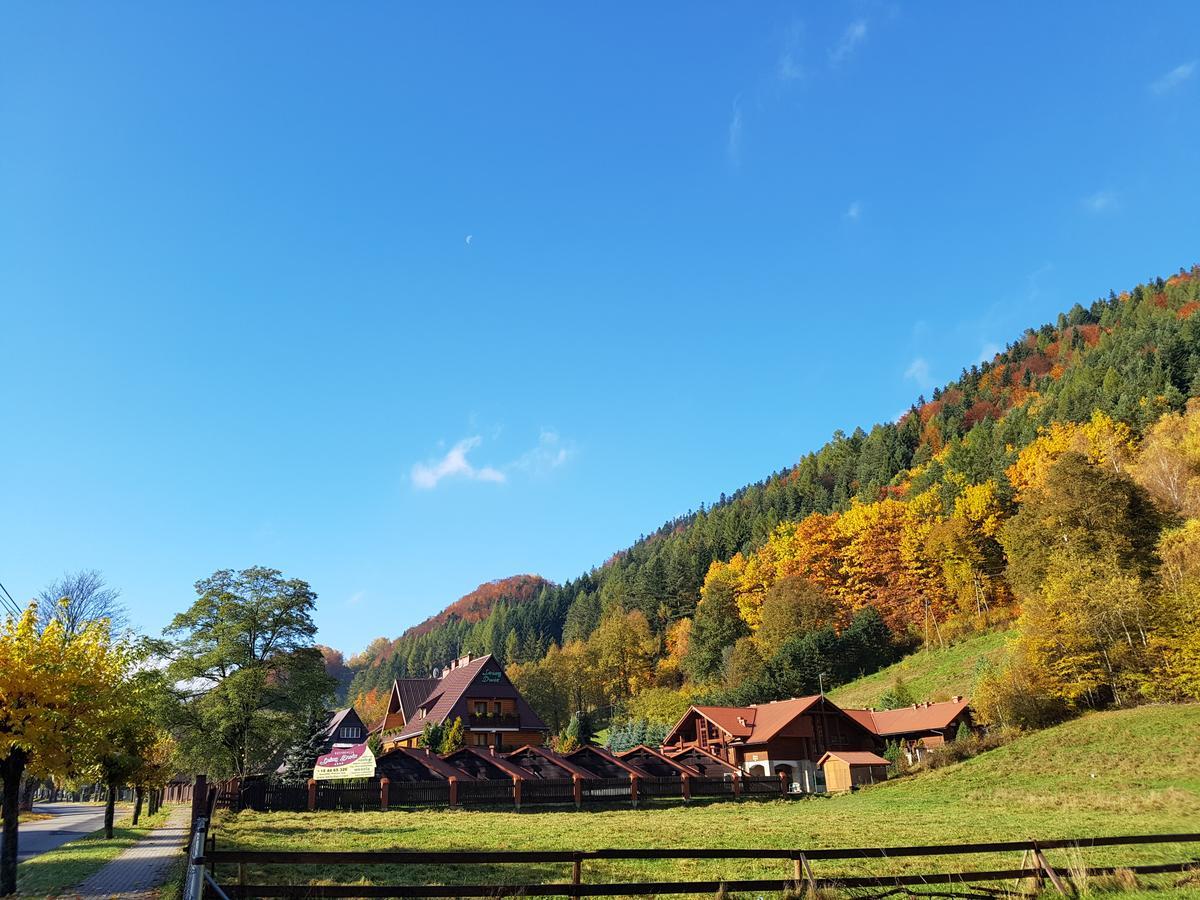 Rezydencja Lesny Dwor Piwniczna-Zdroj Luaran gambar